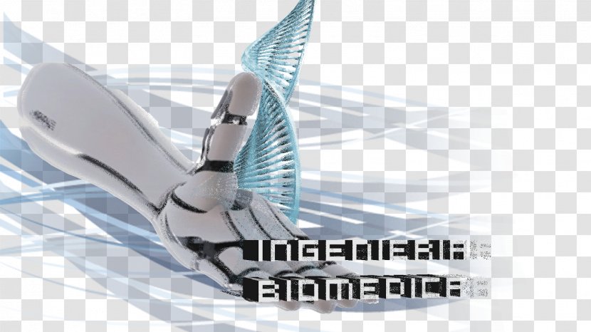 Biomedical Engineering Biomedicine Technology Human Factors And Ergonomics - Area - Esfera Transparent PNG