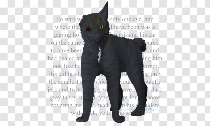 Domestic Short-haired Cat Whiskers Fur Tail - Short Haired Transparent PNG