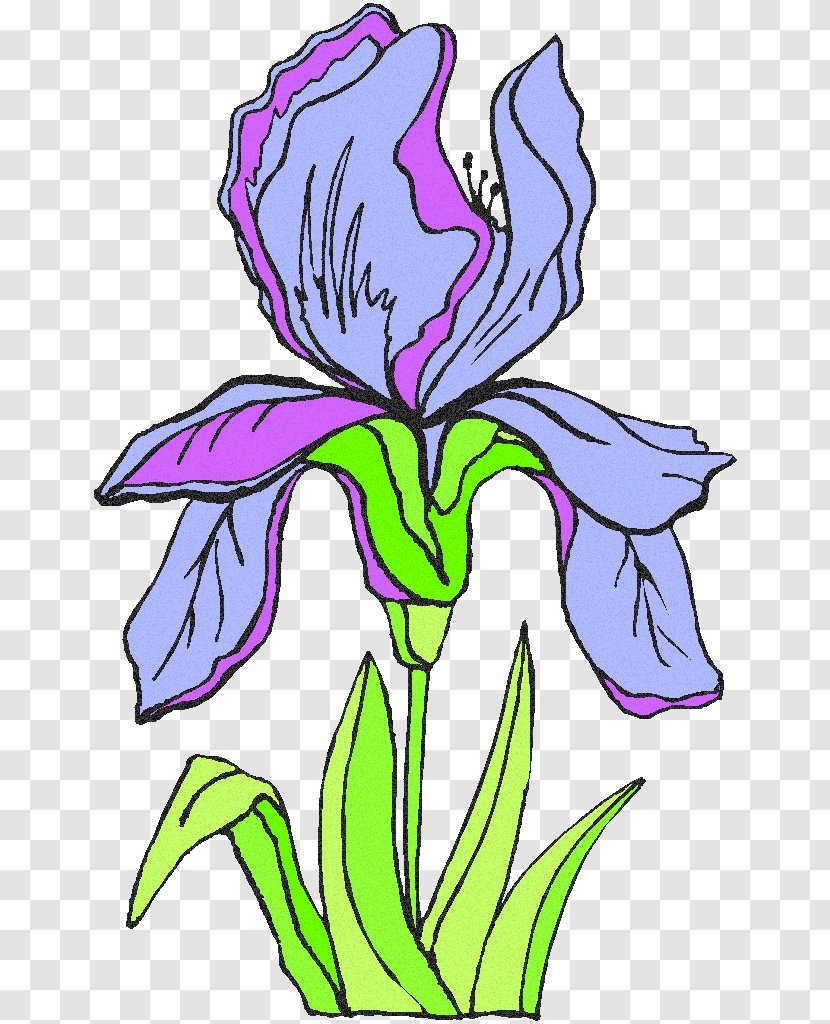 Irises Clip Art Flower Image Free Content - Iris Family Transparent PNG