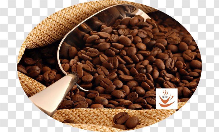 Java Coffee Arabica Bean Tea Transparent PNG