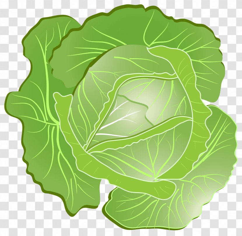 Chinese Cabbage Vegetable Clip Art - Collard Greens - Image Transparent PNG