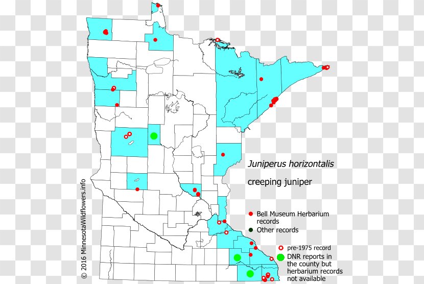 Line Land Lot Point Map Tuberculosis - Real Property Transparent PNG