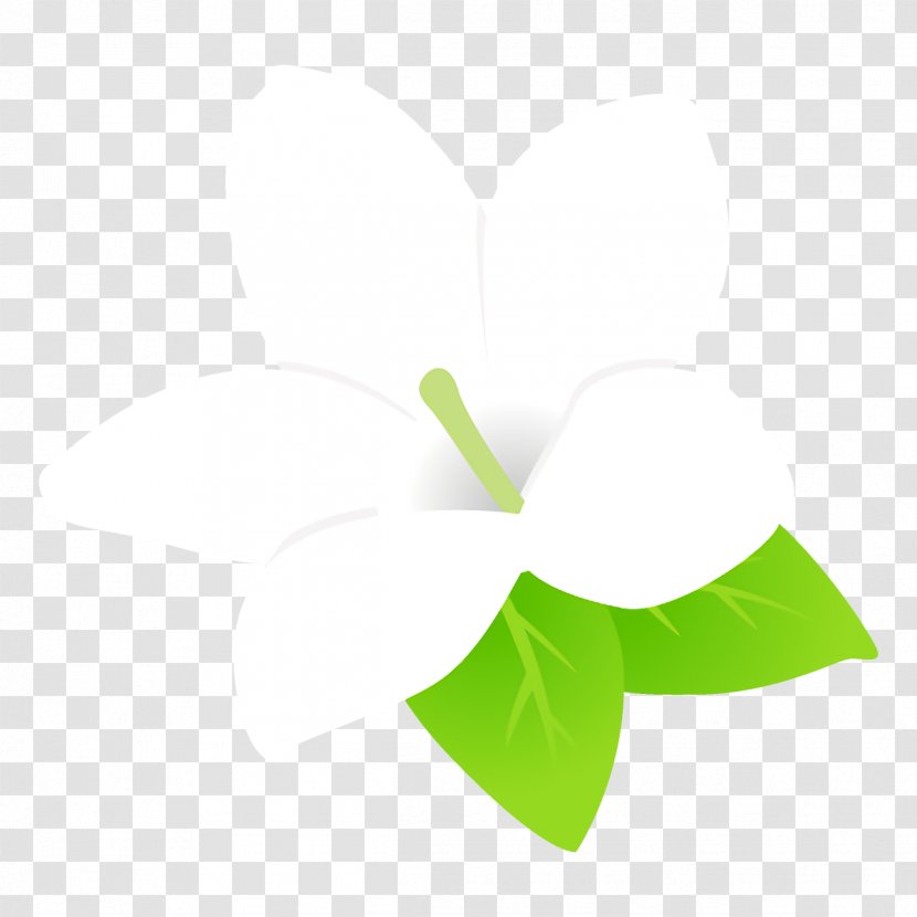 Green Leaf White Plant Line - Anthurium - Logo Transparent PNG