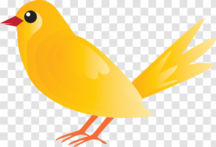 Bird Beak Yellow Songbird Finch Transparent PNG