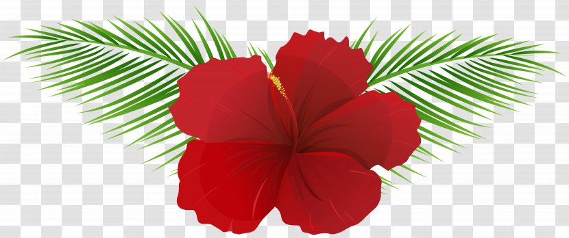 Art Flower Clip - Red Transparent PNG
