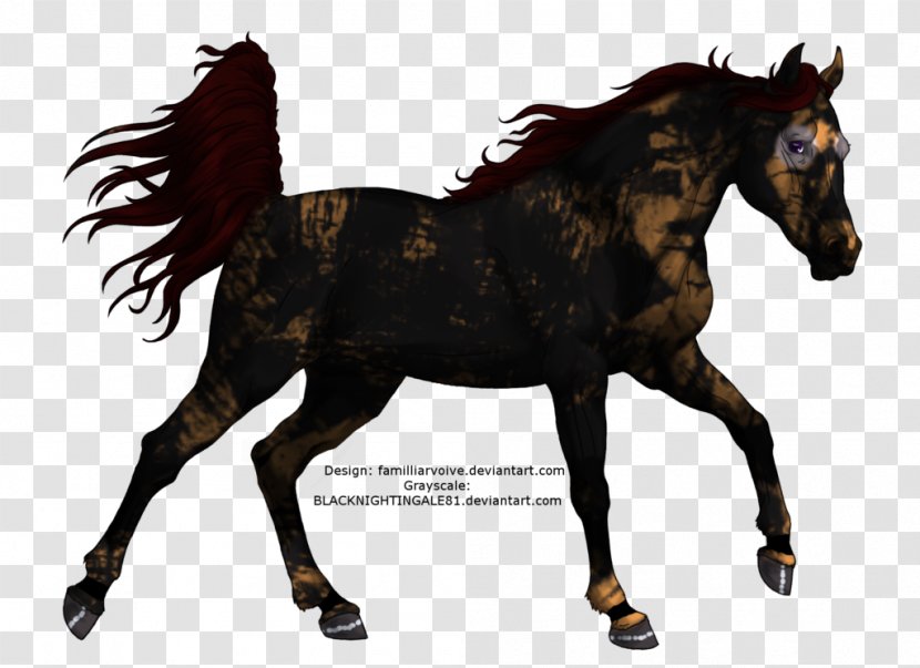 Mustang Pony Mare Colt Stallion - Horse Supplies Transparent PNG