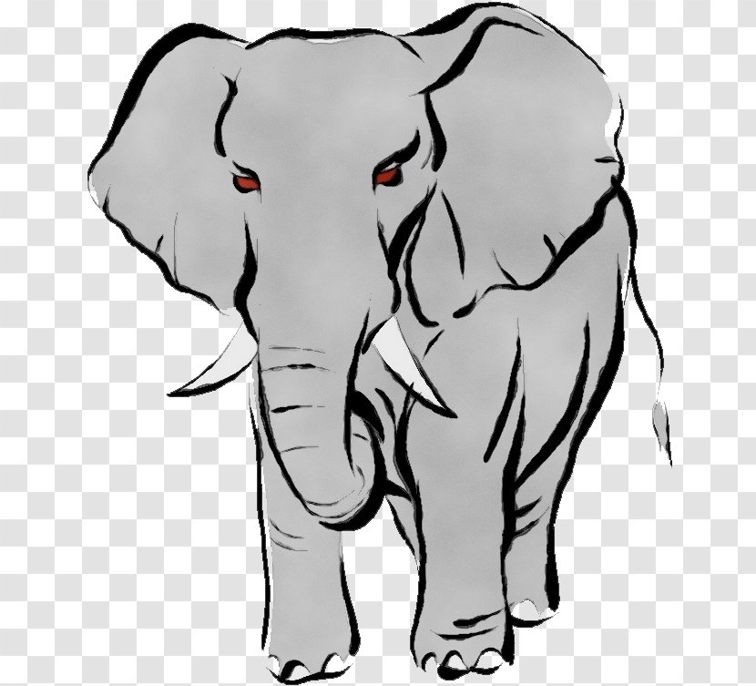 Indian Elephant - Snout - Tail Working Animal Transparent PNG