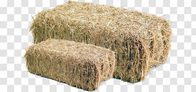 Livestock Feeds And Feeding Hay Straw Paperback Commodity - Trade - Palha Transparent PNG