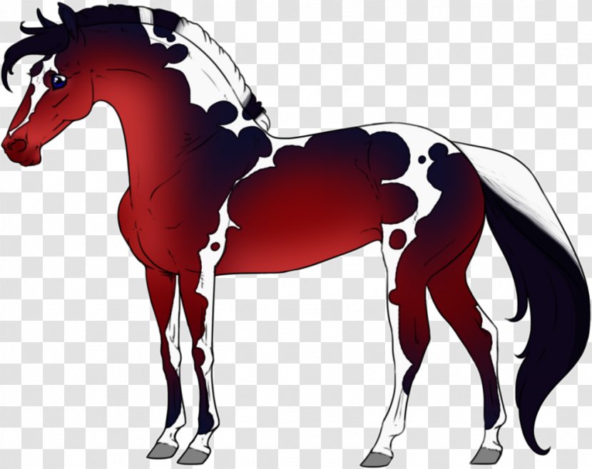 Mustang Foal Stallion Colt Pony - Halter Transparent PNG
