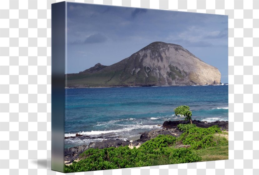 Shore Sea Cape May Promontory Headland - Coastal And Oceanic Landforms Transparent PNG