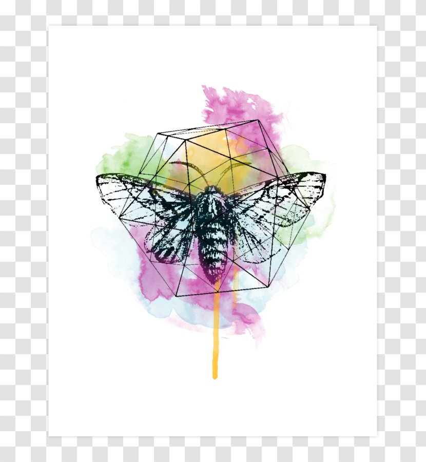 Pink M - Insect - Invertebrate Transparent PNG