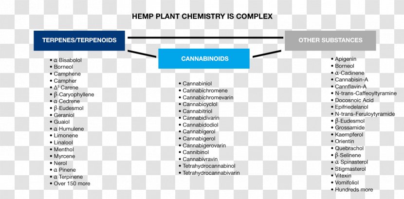 Medicine Cannabinoid Cannabigerovarin Science Therapy - Hemp Plant Transparent PNG