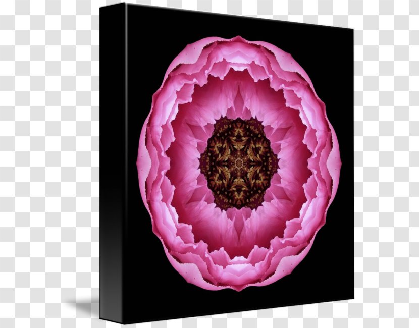 Pink Flowers Floral Design Mandala Symbol - Flower Transparent PNG