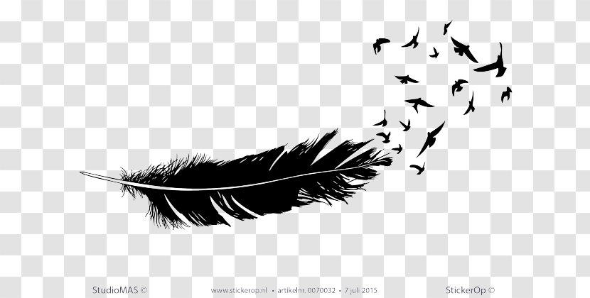 Feather Bird Beak Wing Tail - Salman Khan - Veer Transparent PNG