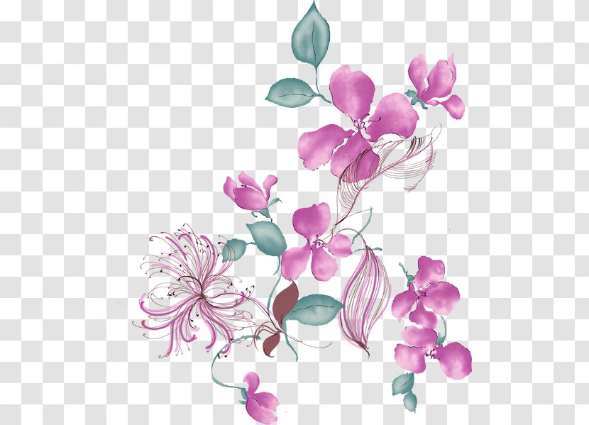 Flower Drawing Photography Petal Desktop Wallpaper - Flowering Plant Transparent PNG
