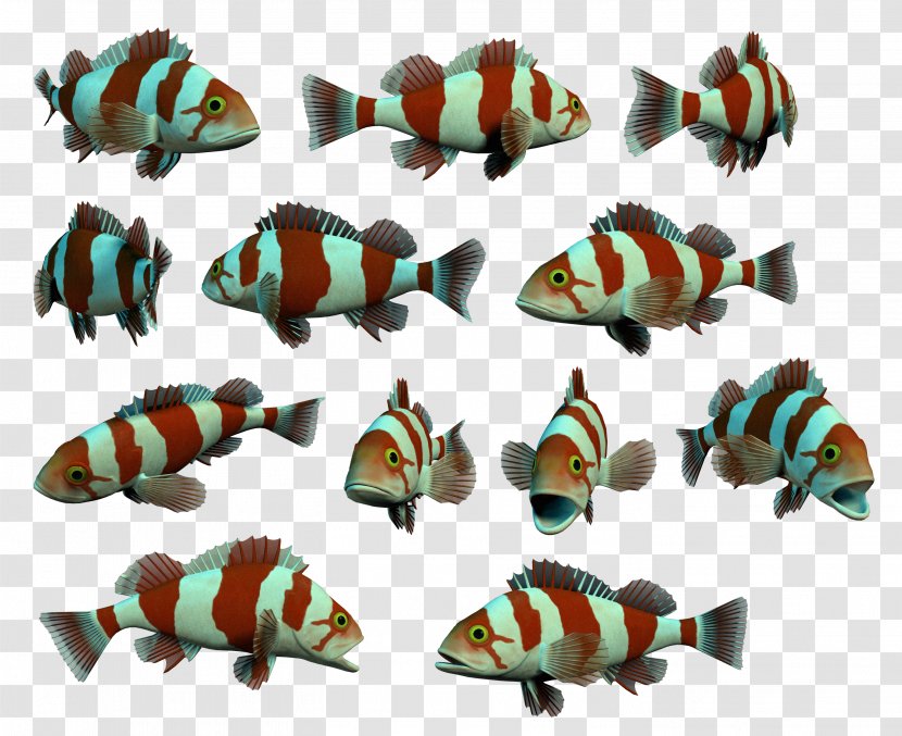 Fish Flounder Sea Clip Art - Shark Transparent PNG