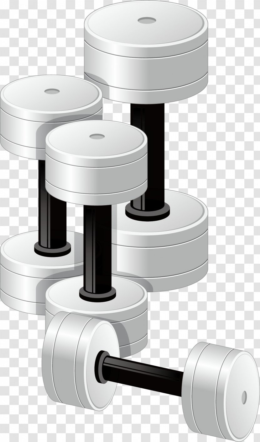 Euclidean Vector Physical Exercise Fitness Dumbbell - Barbell Material Transparent PNG