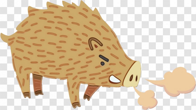 Hedgehog Boar Erinaceidae Snout Domestic Pig - Livestock Animal Figure Transparent PNG