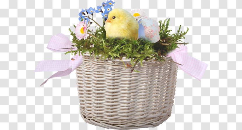 Chicken Basket - Storage - Chick Transparent PNG