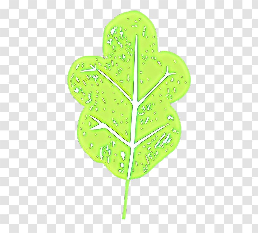 Leaf Green Plant - Cartoon Transparent PNG