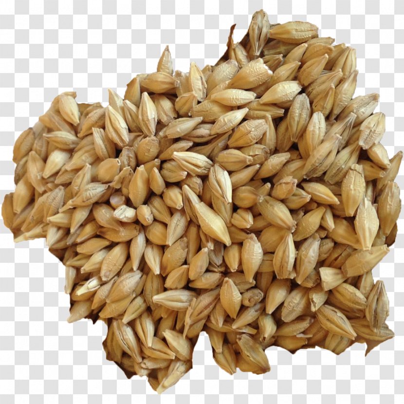 Organic Food Barley Sprouting Sprouted Bread Cereal Transparent PNG