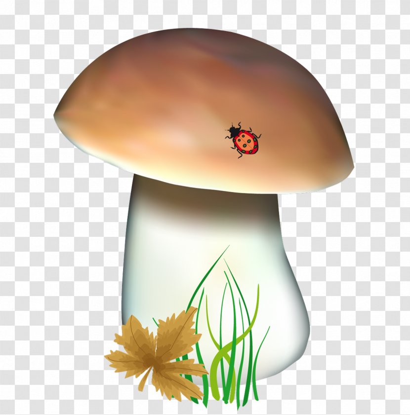 Boletus Edulis Fungus Clip Art - Drawing - Mushroom Transparent PNG