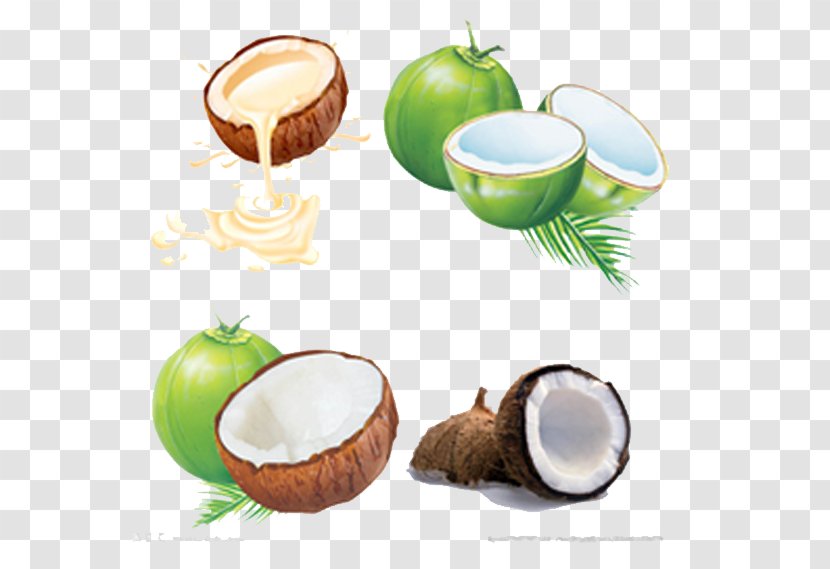 Juice Coconut Water Milk - Flavor - Hand Painted Transparent PNG