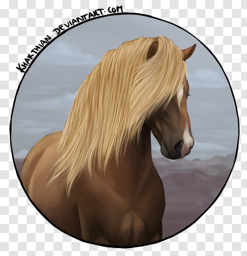 Mane Mustang Stallion Halter Bridle - Horse Tack - Icelandic Pony Transparent PNG