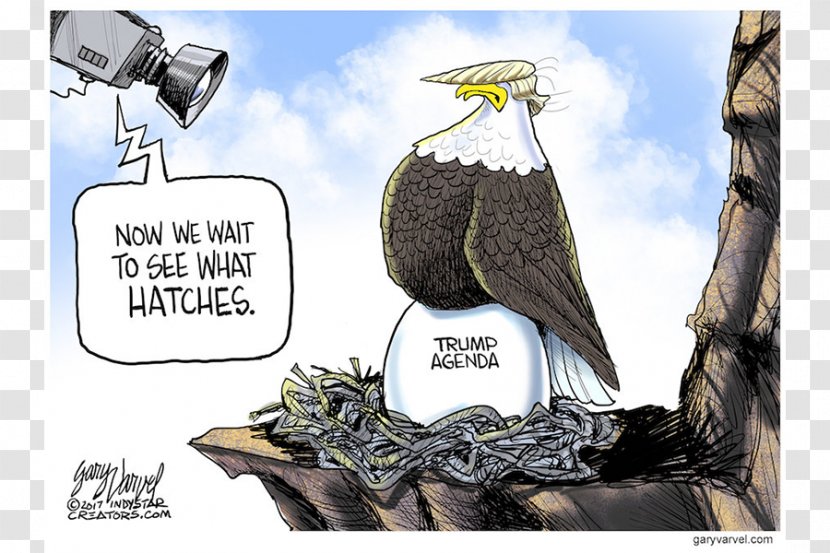 United States Cartoonist Editorial Cartoon Presidency Of Donald Trump - Politics Transparent PNG