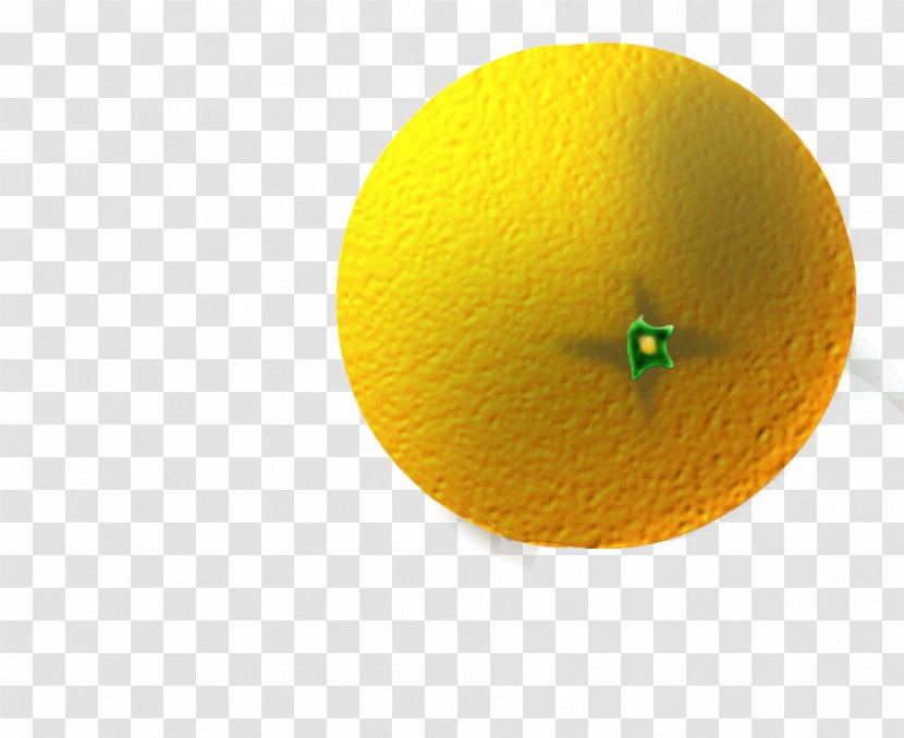 Yellow Circle Citrus - Sketch 3d Cartoon Fruits Transparent PNG