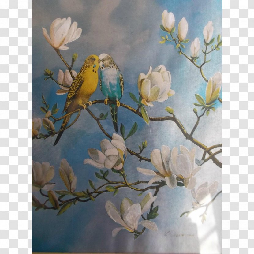 Still Life Photography Magnolia Family Desktop Wallpaper - Spring Transparent PNG