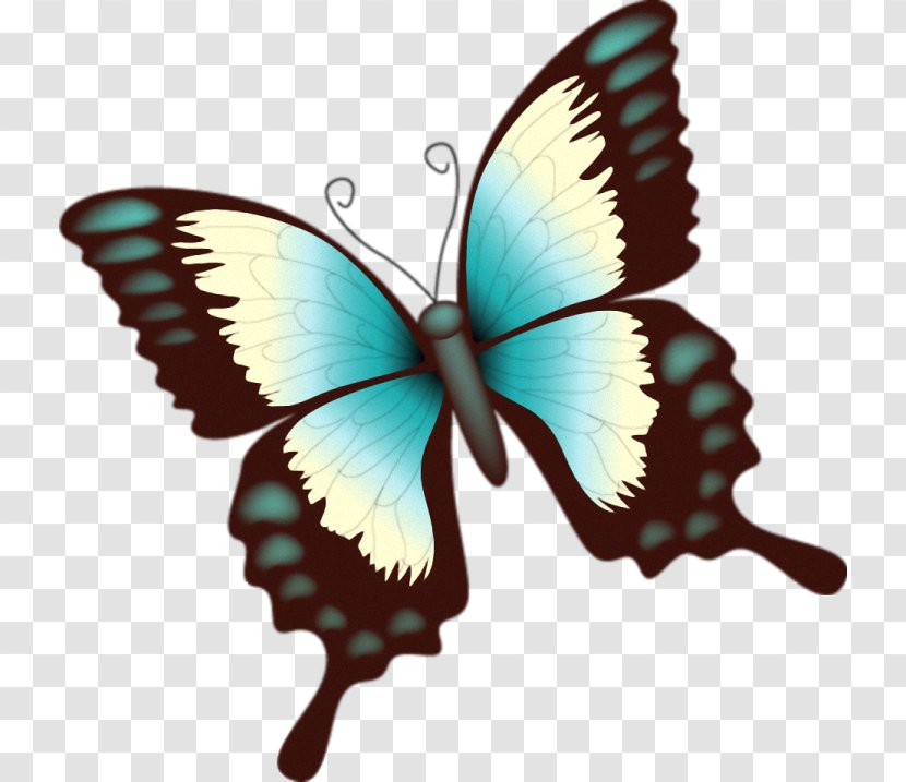 Nymphalidae Butterfly Clip Art - Organism Transparent PNG