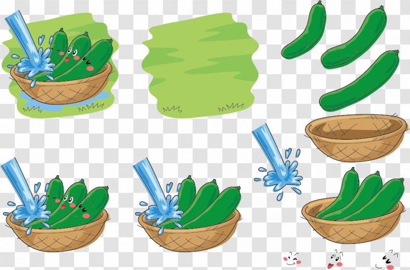 Cucumber Vegetable Sticker Illustration - Flowerpot - Expression Vector Bath Transparent PNG