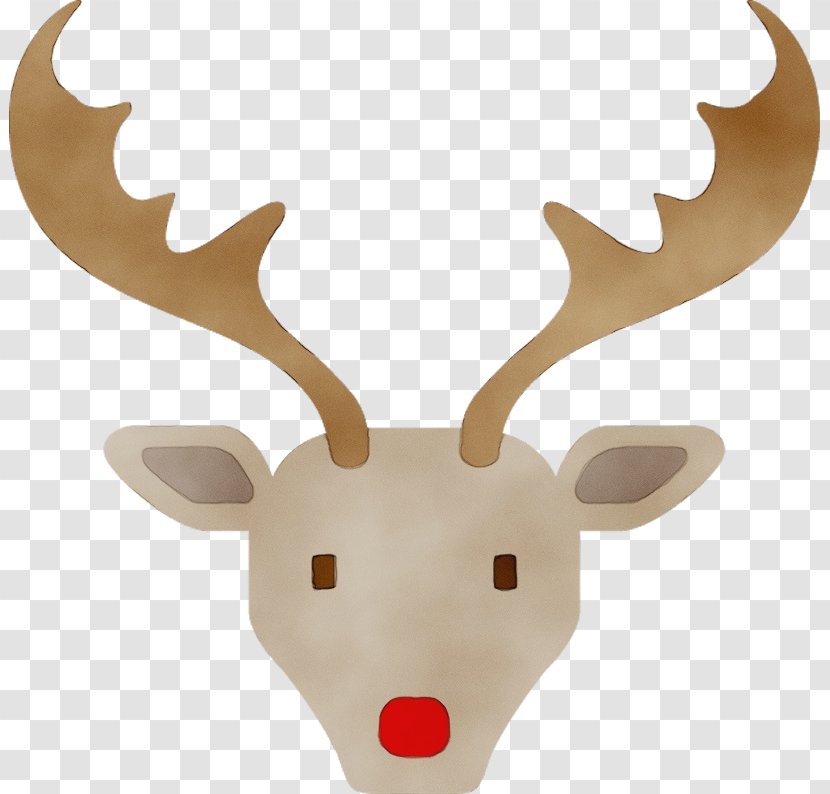 Reindeer - Deer - Fawn Wildlife Transparent PNG