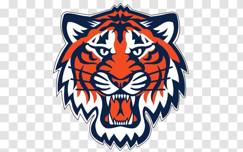 Detroit Tigers Lions MLB Red Wings - Big Cats - Pistons Transparent PNG