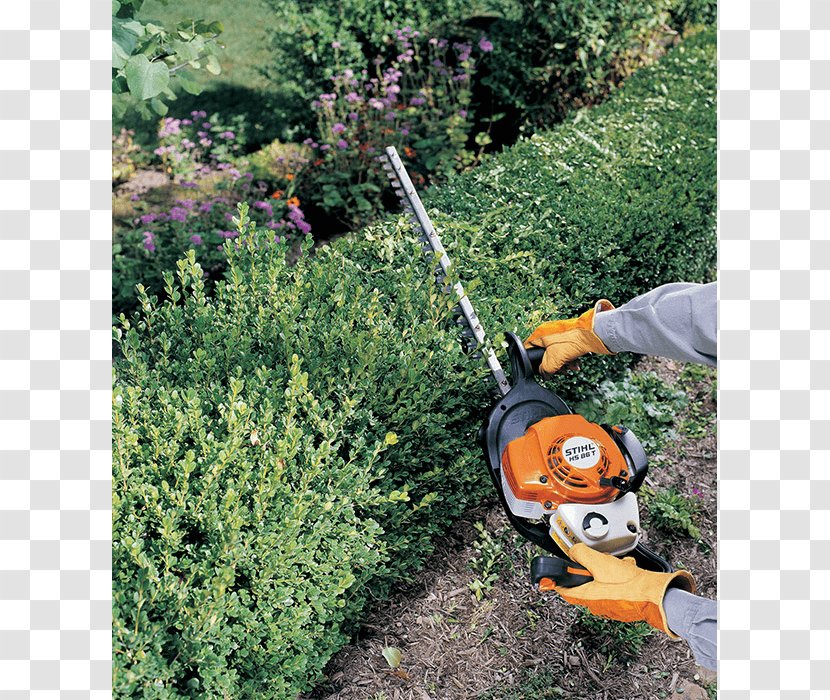 Lawn Mowers Hedge Trimmer String - Woody Plant Transparent PNG