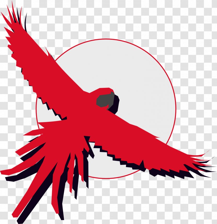 Beak Feather Line Clip Art - Artwork - Scarlet Macaw Transparent PNG