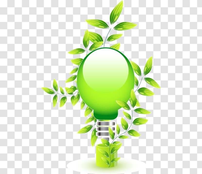 Leaf Green Euclidean Vector Icon - Flowerpot - Energy Saving Bulb Transparent PNG