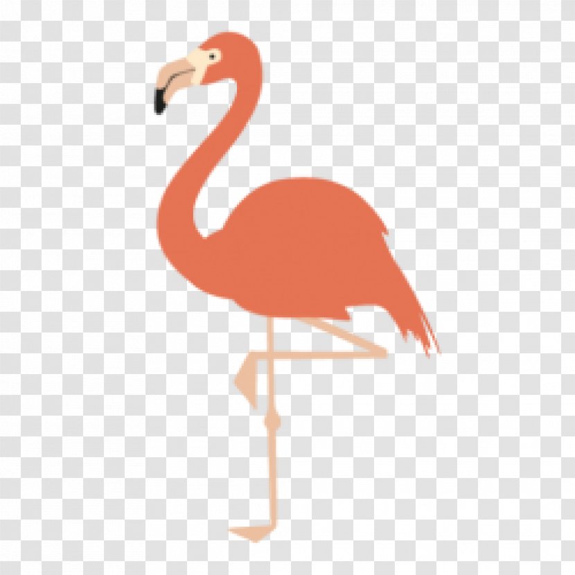 Bird American Flamingo Greater Drawing - Painting Transparent PNG