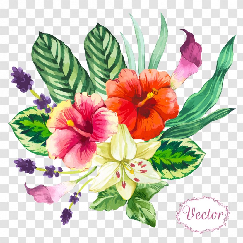 Watercolor Flowers And Foliage - Beach Rose - Tropics Transparent PNG