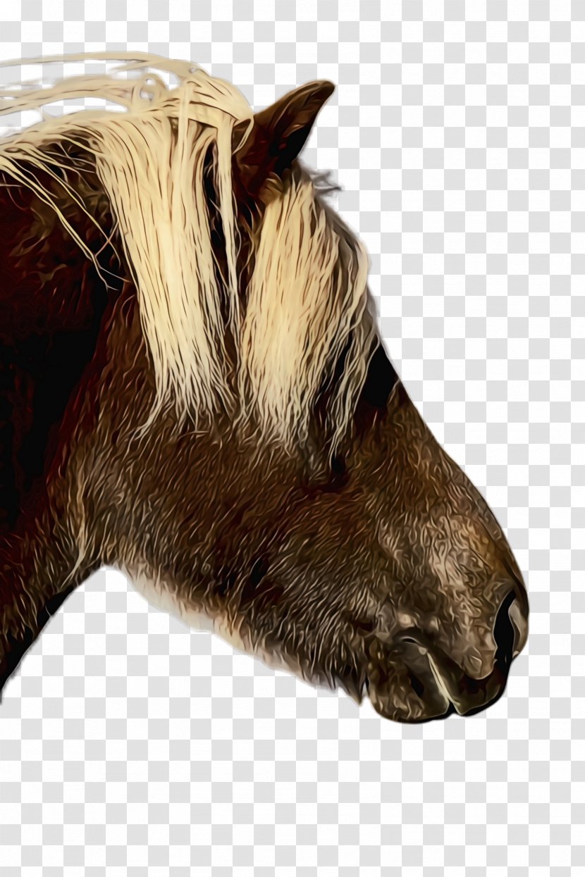 Horse Cartoon - Head - Livestock Mare Transparent PNG