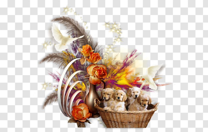 Cut Flowers Food Gift Baskets Leaf - Net Transparent PNG