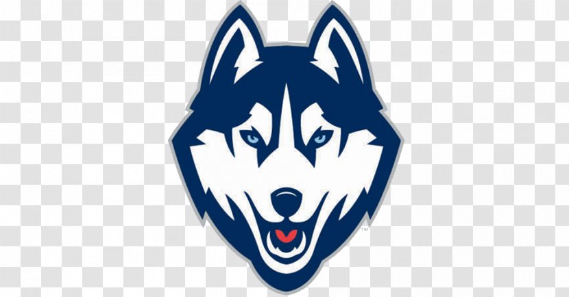 University Of Connecticut Huskies Football Men's Basketball Women's Ice Hockey - Fictional Character - Husky Transparent PNG