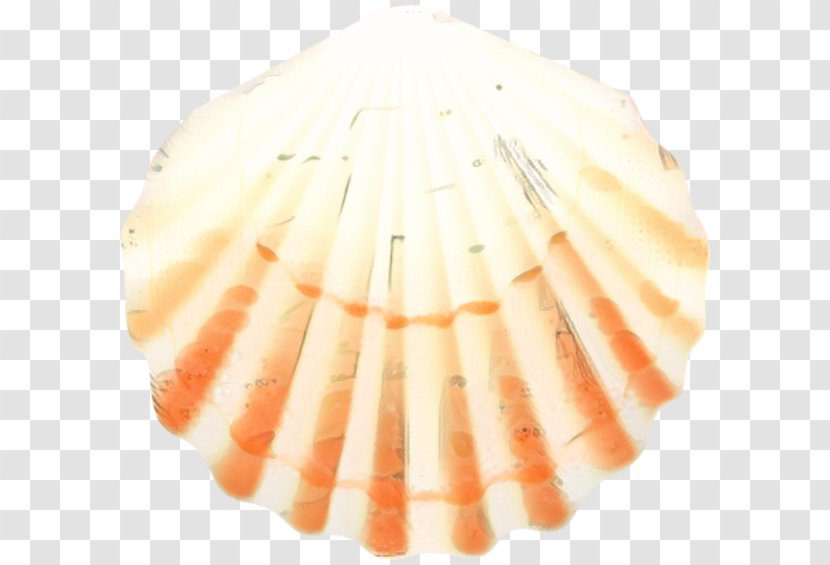 Seafood Background - Seashell - Shellfish Food Transparent PNG