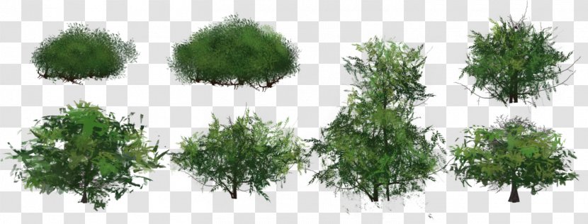 Shrub Game Plants Juniper Biome - Vegetation - 2d Grass Transparent PNG