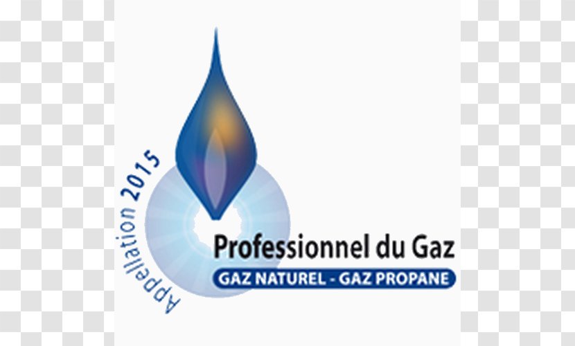 Berogailu Natural Gas Boiler Professional - Installation De Chauffage - Energy Transparent PNG