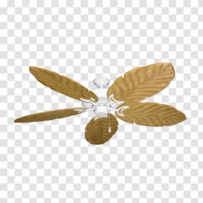 Ceiling Fans Insect Bronze Blade - Solid Wood - Fan Palm Transparent PNG