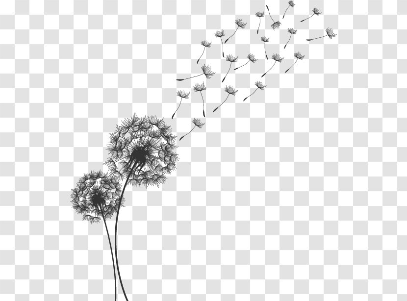 Korean Gospel Presbyterian Church Sweden Art Book - Petal - Vector Hand-painted Dandelion Transparent PNG