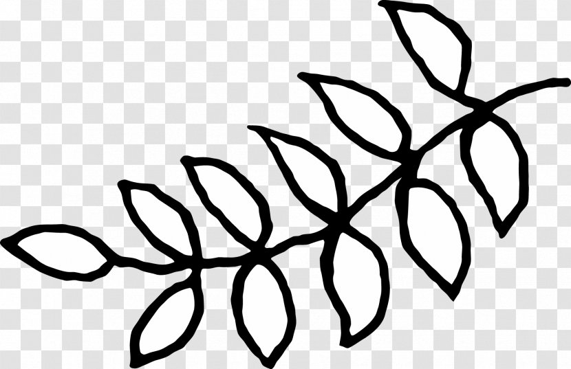Clip Art Leaf Pattern Line Plant Stem - Picmonkey Button Transparent PNG