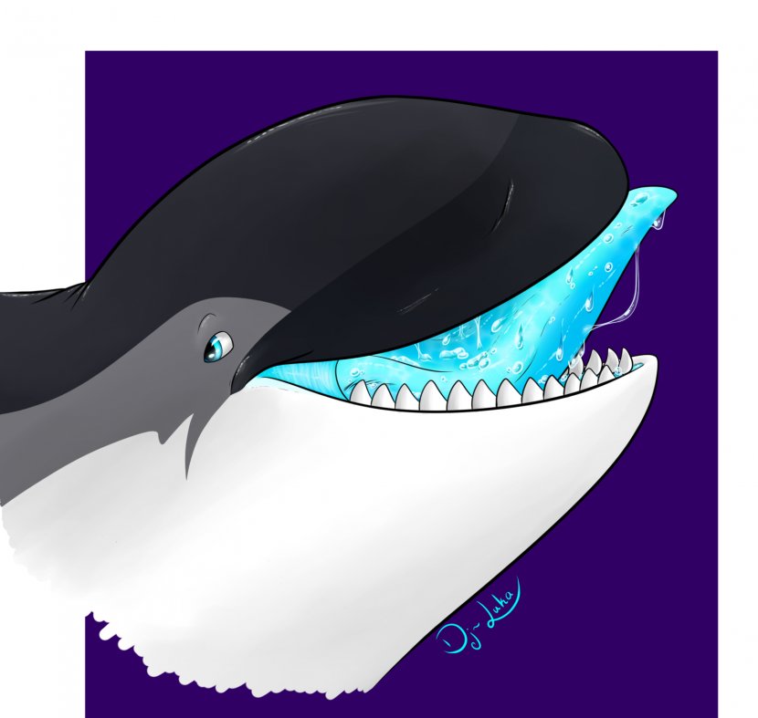 Killer Whale Dolphin Marine Mammal Cetacea - Watercolor Transparent PNG